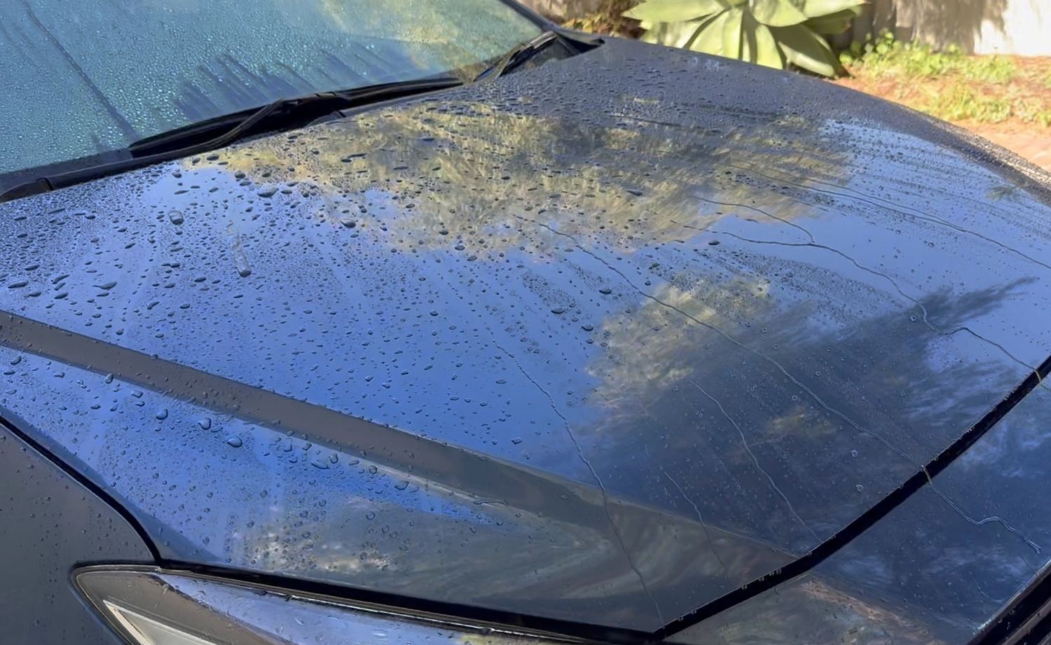 Paint after Aurex treatment — tight water beading and deep gloss